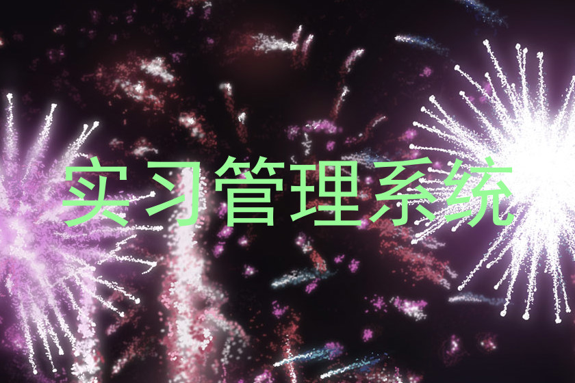 实习管理系统