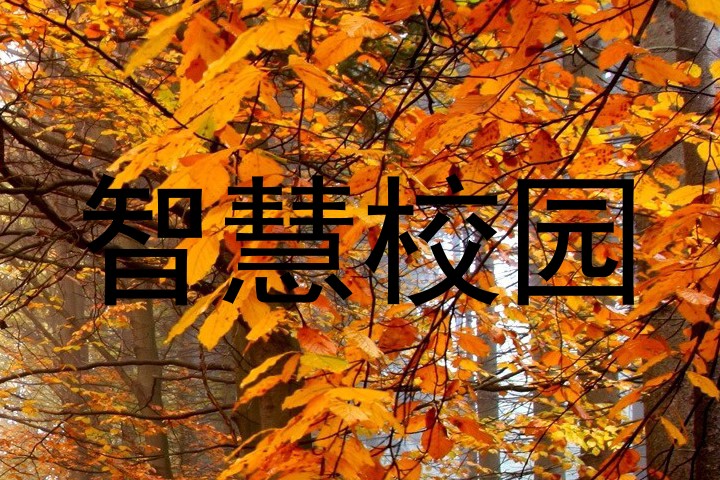 智慧校园