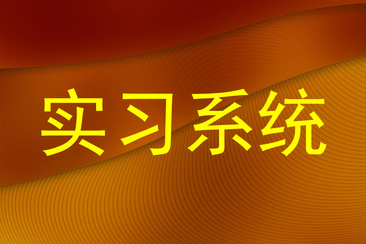 实习系统