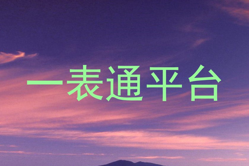 一表通平台