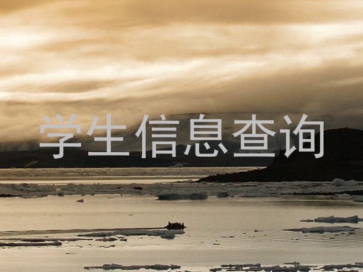 学生信息查询