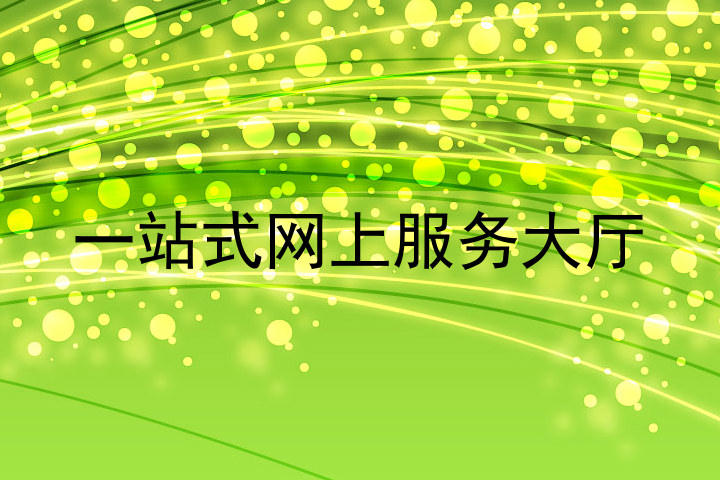 一站式网上服务大厅