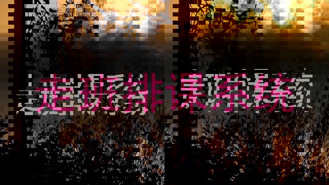 走班排课系统