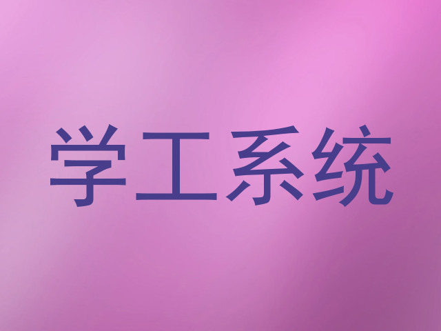 学工系统
