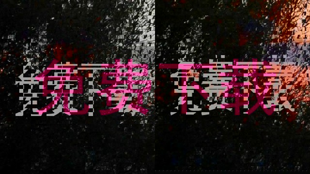 免费下载