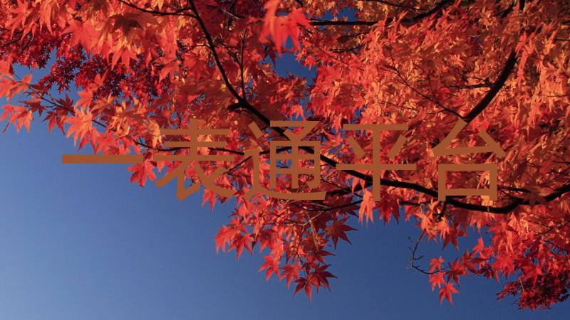 一表通平台
