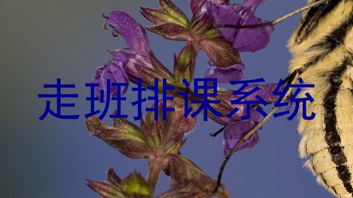 走班排课系统