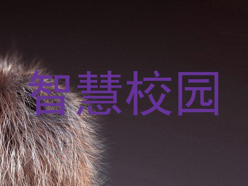 智慧校园