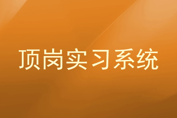 顶岗实习系统