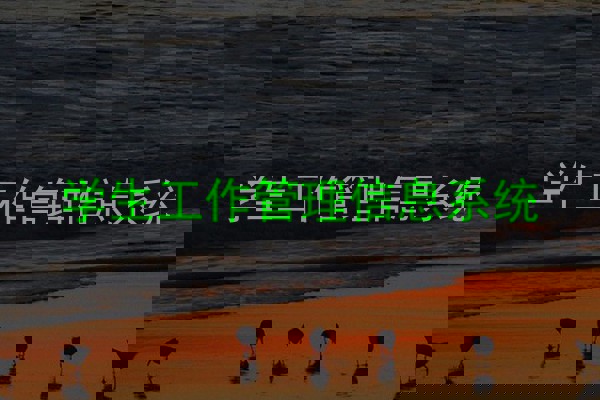 学生工作管理信息系统