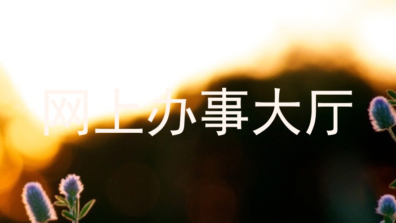 网上办事大厅