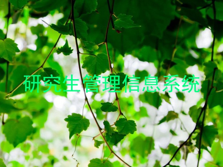 研究生管理信息系统
