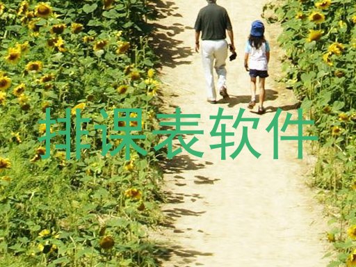排课表软件