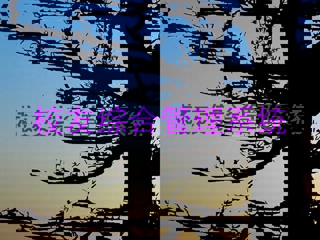 校友综合管理系统