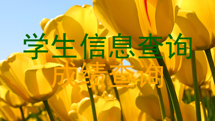 学生信息查询|成绩查询