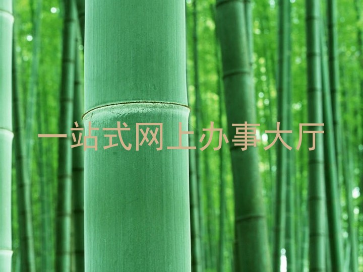 一站式网上办事大厅
