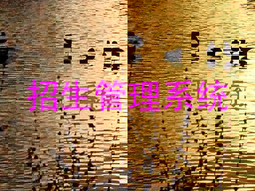 招生管理系統(tǒng)