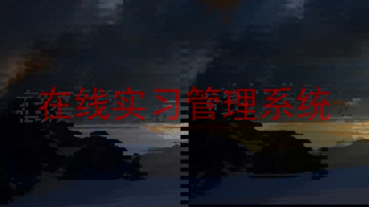 在线实习管理系统