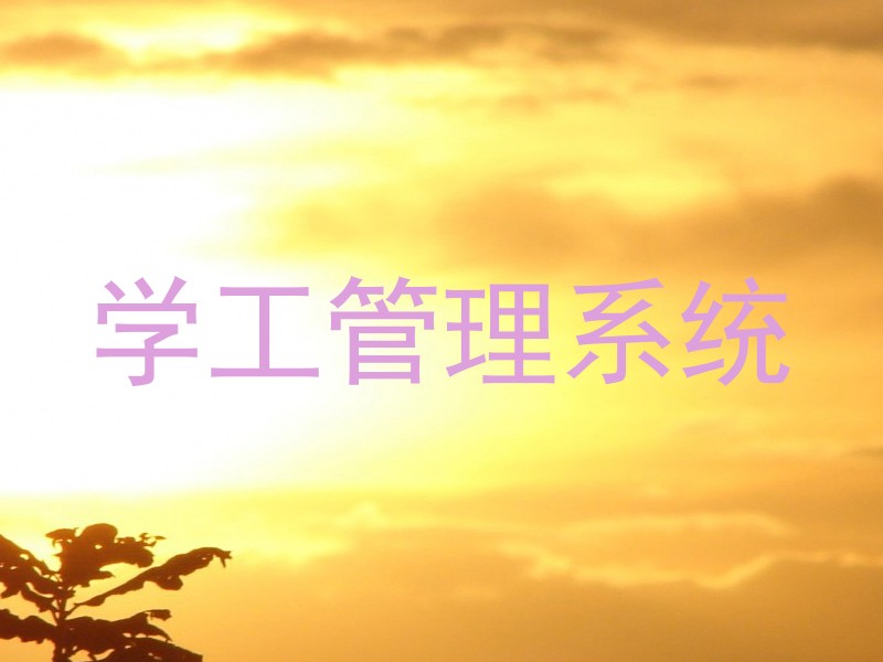 学工管理系统