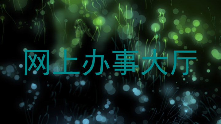 网上办事大厅