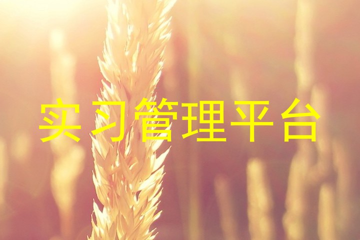 实习管理平台
