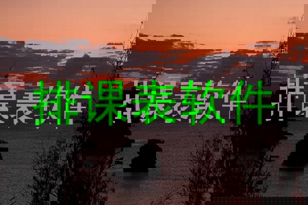 排课表软件