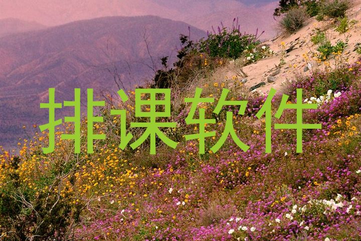 排课软件