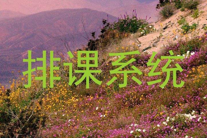 排课系统