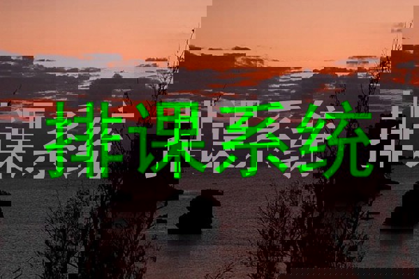 排课系统