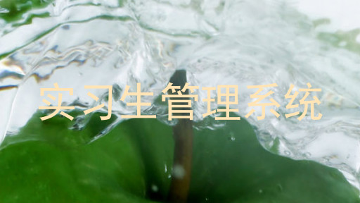 实习生管理系统