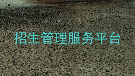 招生管理服務(wù)平臺(tái)