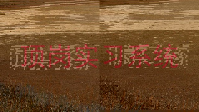 顶岗实习系统