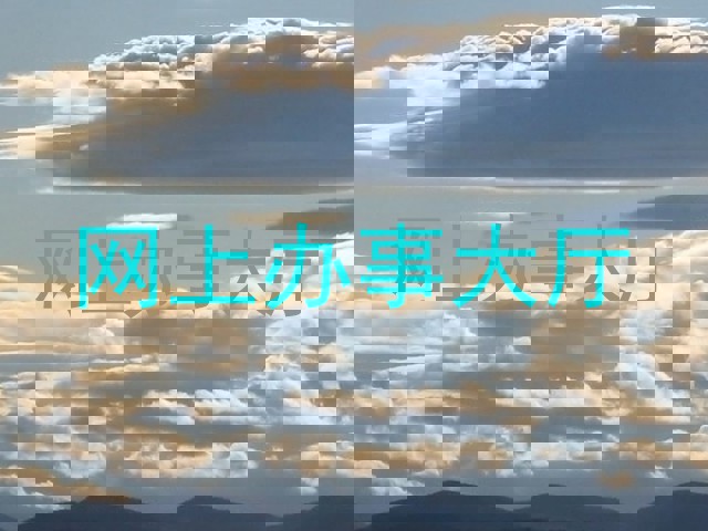 网上办事大厅