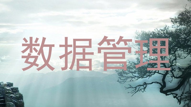 数据管理