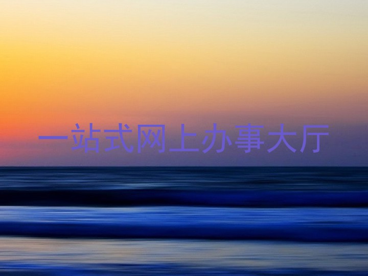 一站式网上办事大厅
