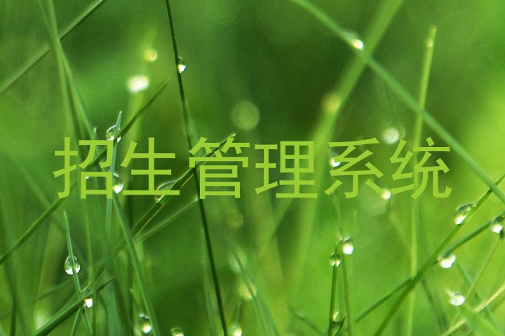招生管理系統(tǒng)