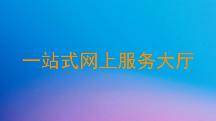 一站式网上服务大厅