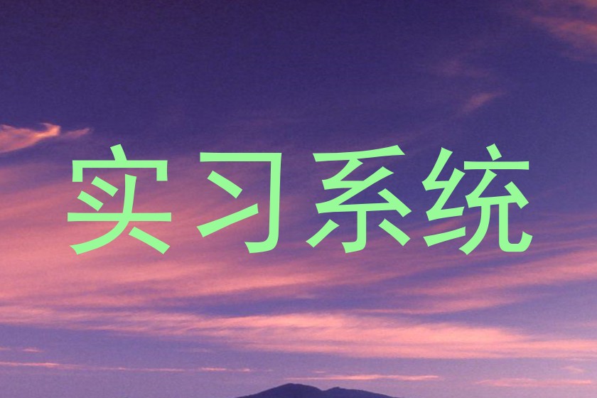 实习系统