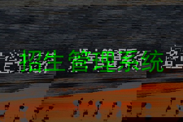 招生管理系統(tǒng)