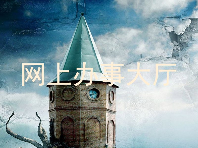 网上办事大厅