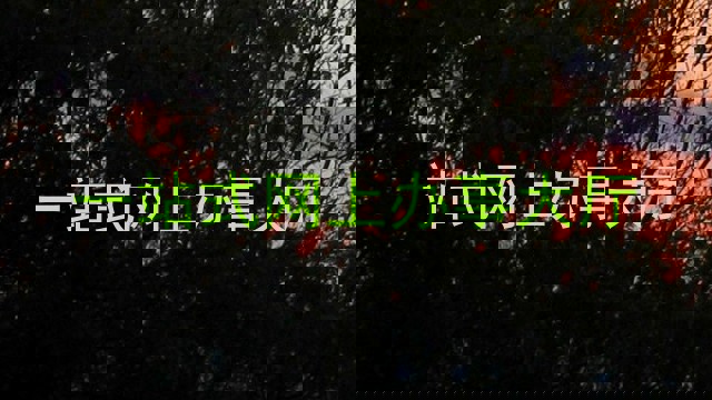 一站式网上办事大厅