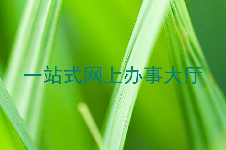 一站式网上办事大厅