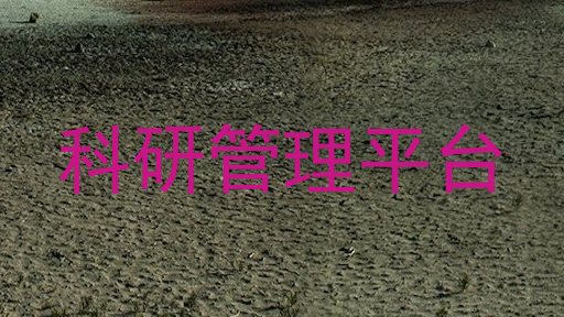 科研管理平台