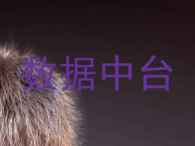 数据中台