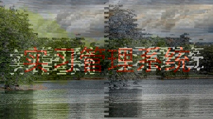 实习管理系统