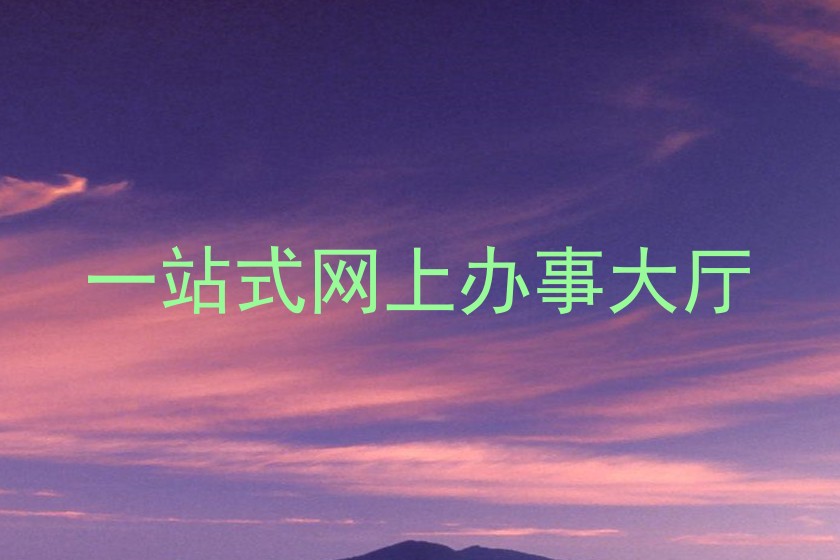 一站式网上办事大厅