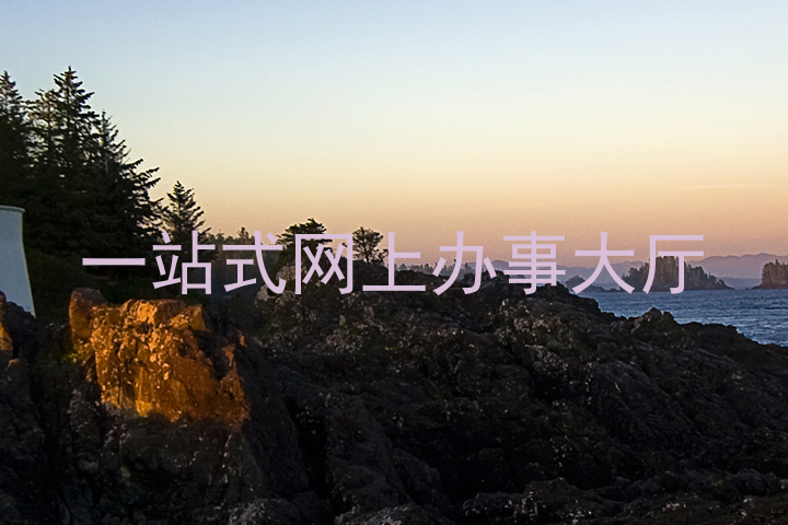 一站式网上办事大厅