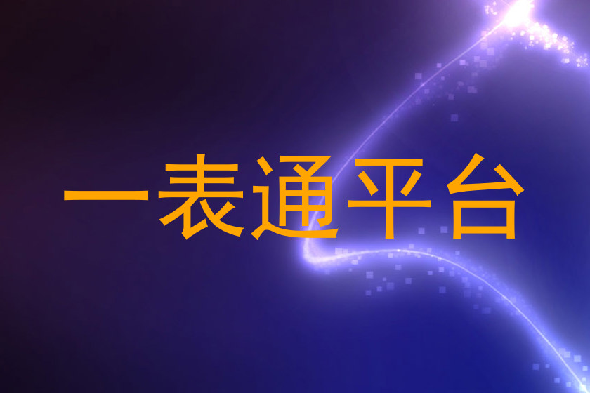 一表通平台