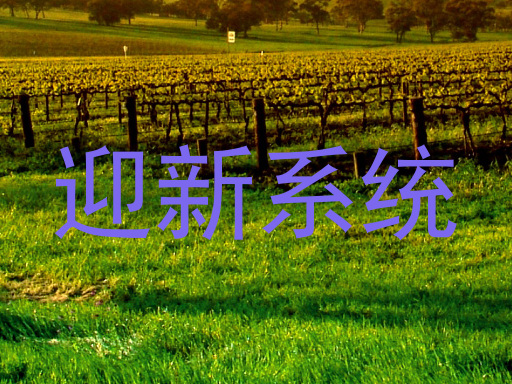 迎新系统