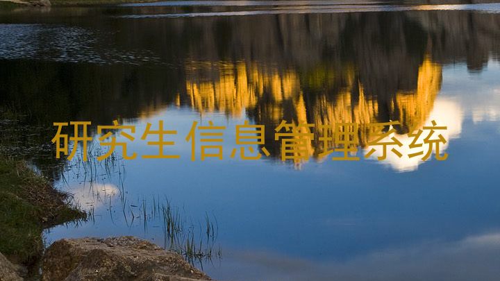 研究生信息管理系统